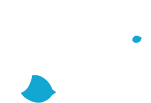 logo CFMA